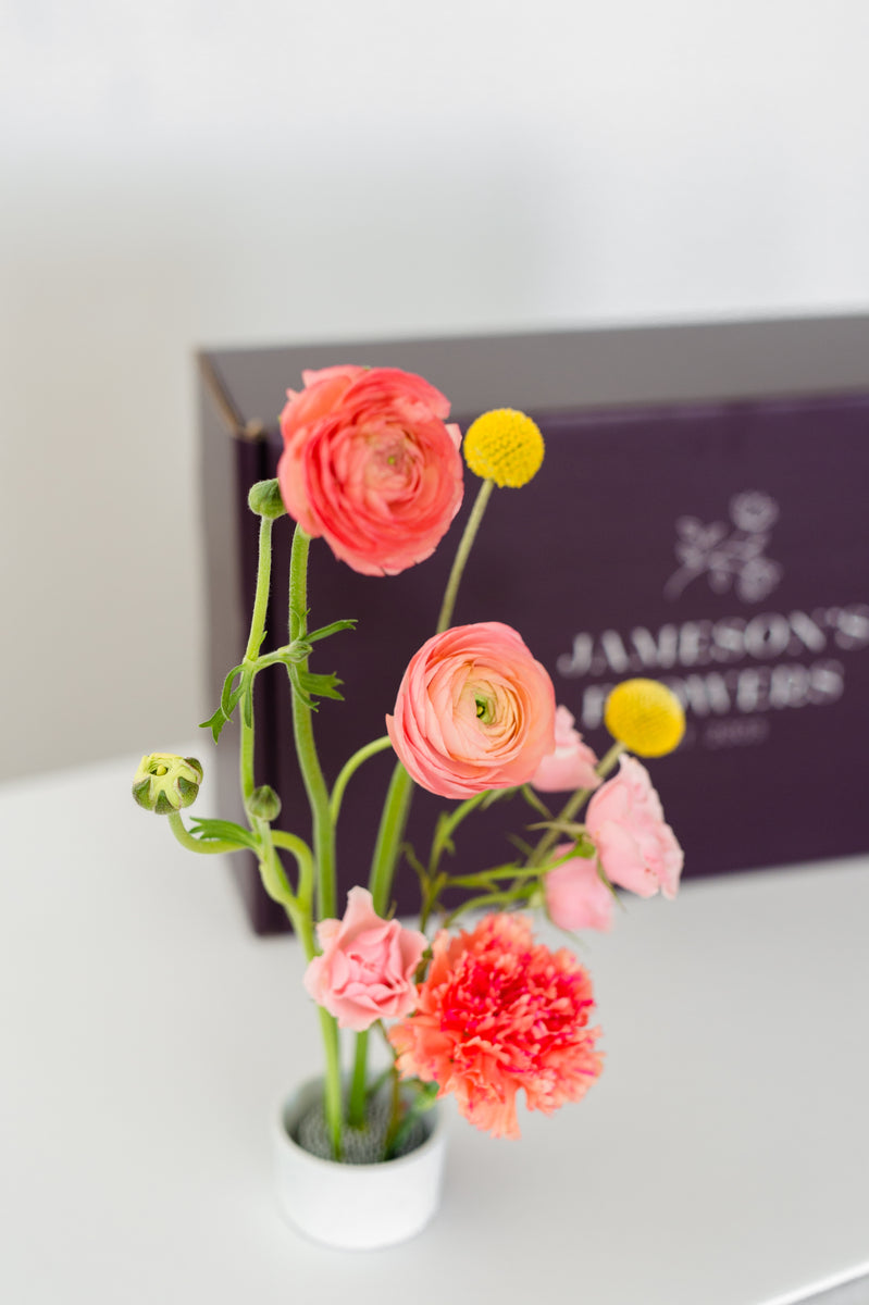 http://jamesonsflowers.com/cdn/shop/products/jamesonsfall-135_1200x1200.jpg?v=1601252825